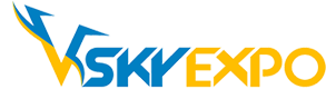 V sky Logo